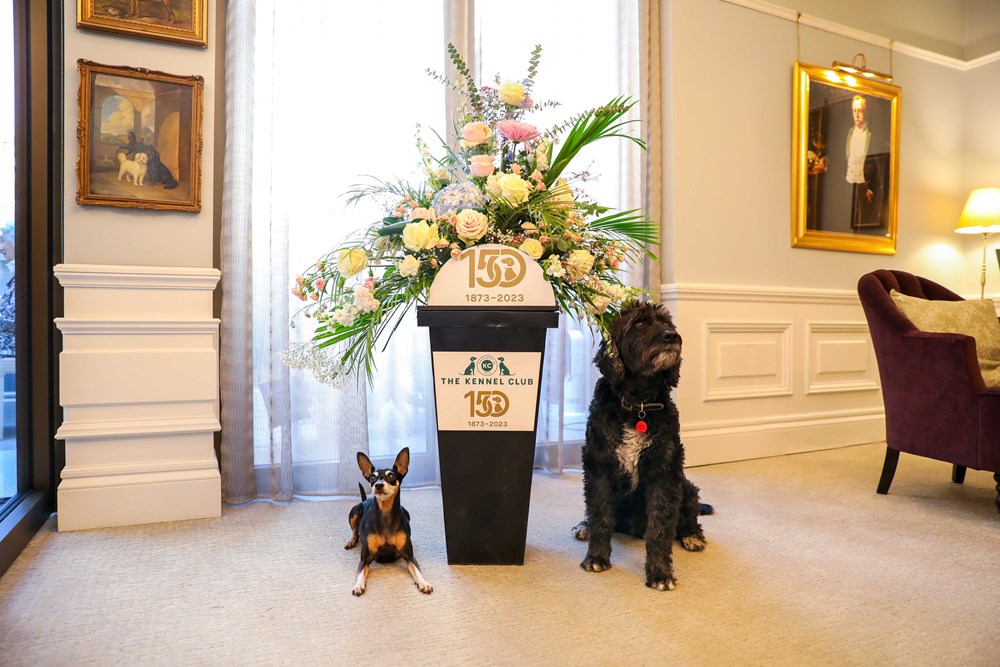 The Royal Kennel Club: Celebrating 150 Years of Making a Positive Difference for Dogs and Their Owners