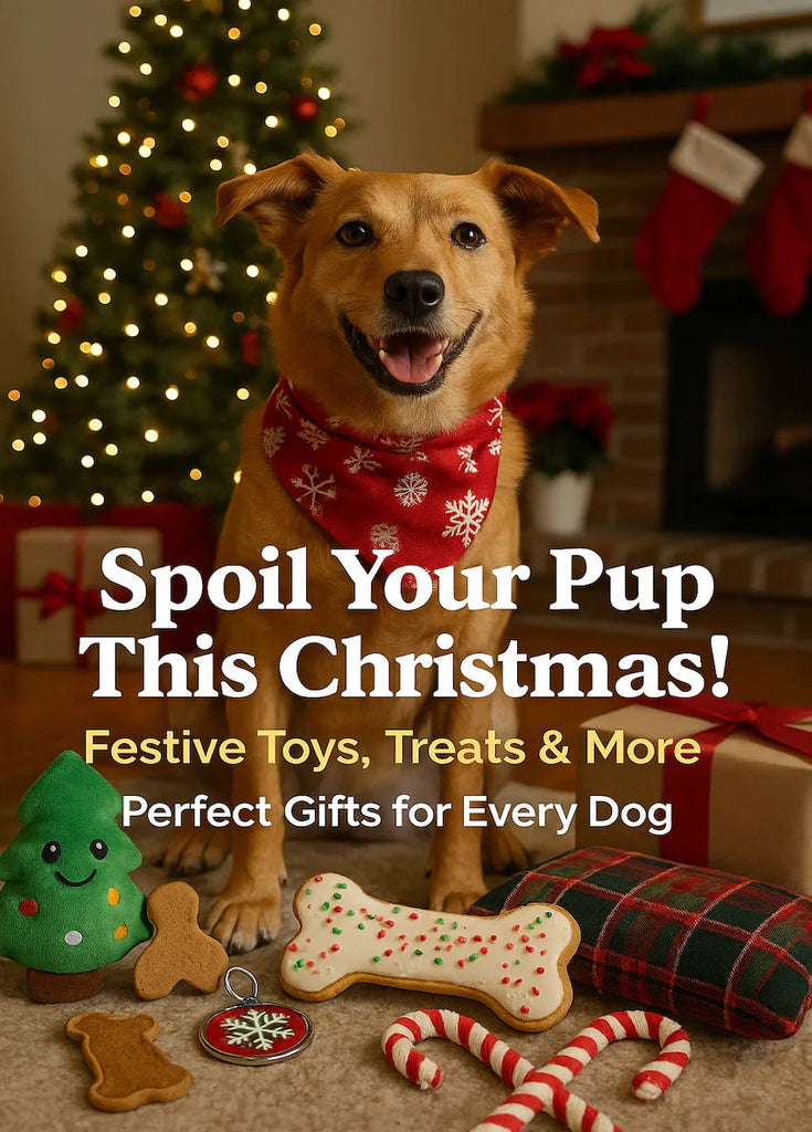 Christmas Gift Ideas for Dogs