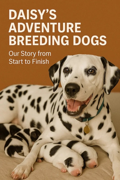 Part 1 - Daisy’s Adventure: Breeding Dogs