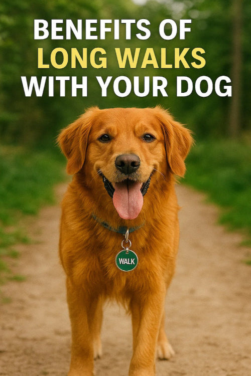 Long Walks with Your Dog