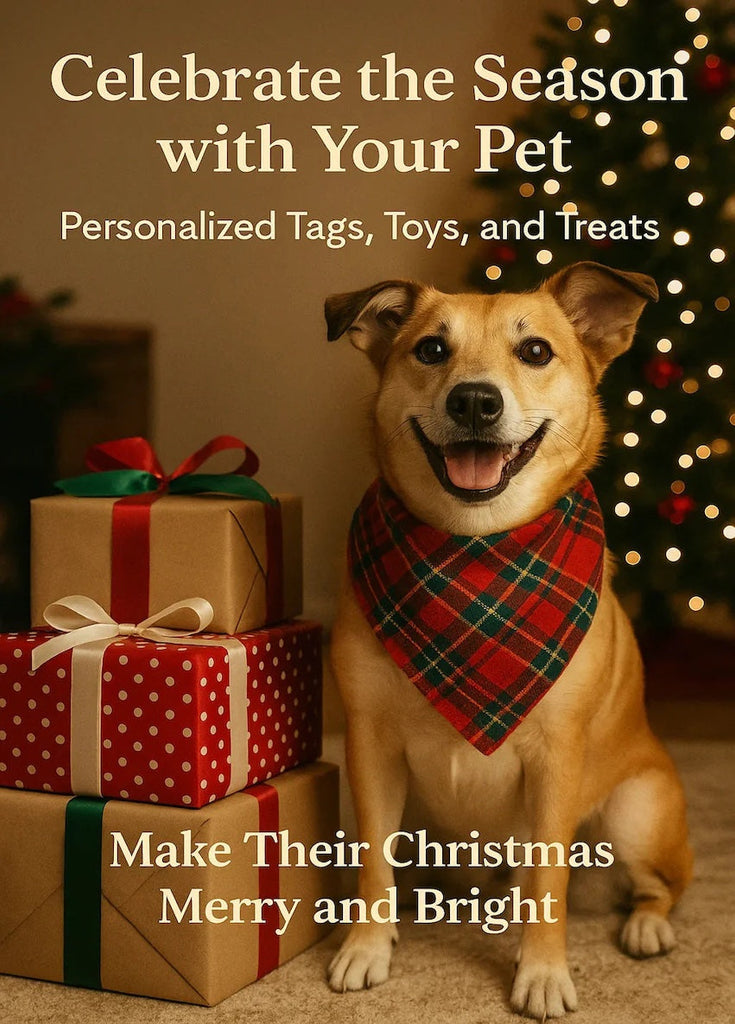 Christmas Gift Ideas for Your Pet