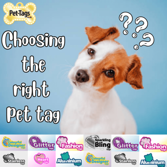 Choosing the Right Pet Tag: A Complete Guide for Pet Owners