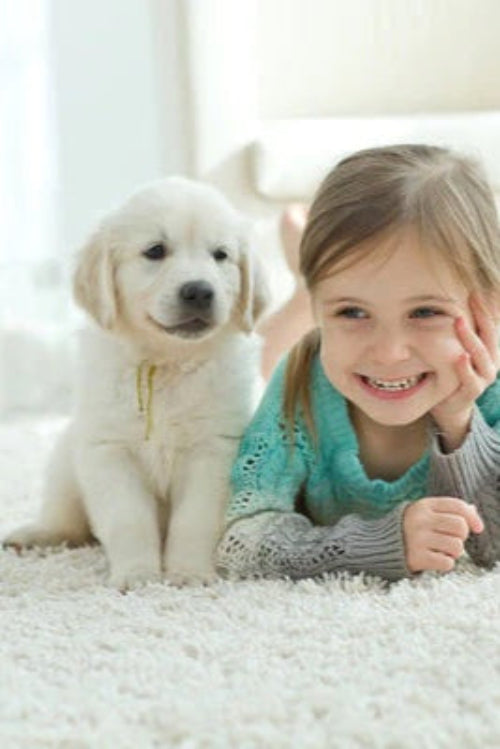 Keeping Kids Safe Around Pets