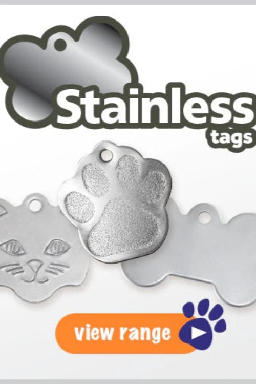 Choosing the Right Pet Tag for your Dog or Cat