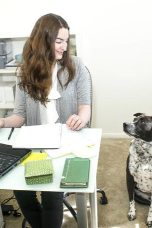 Take Your Dog to Work Day