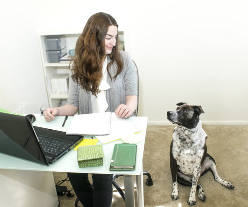 Join in the Fun for Take Your Dog to Work Day