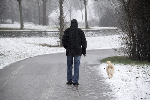 Winter Weather Dog Walking Tips