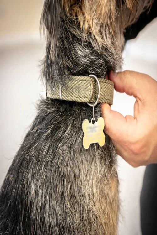 10 Laws You Need to Know Before Getting a Pet