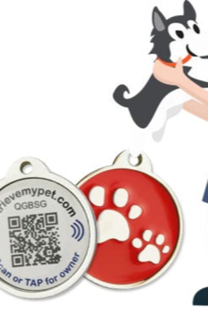 Smart Pet ID Tags for Smart Pets