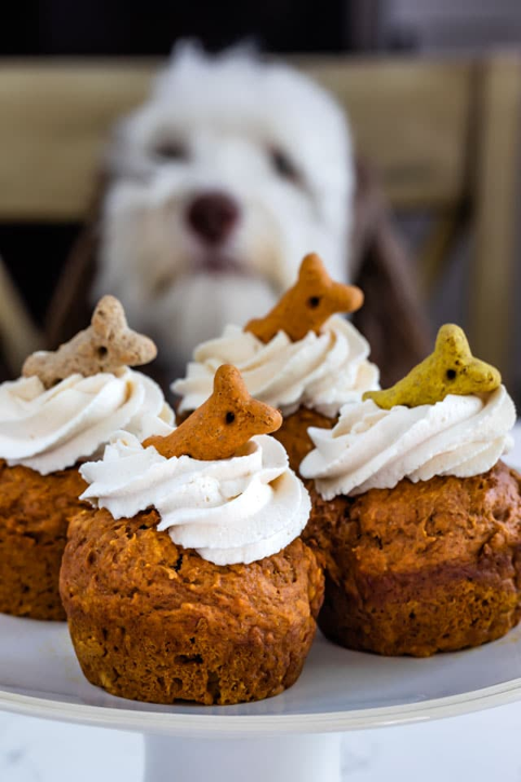 Feel like baking this weekend?  Why not treat your pup to Poppy's Pupcakes?