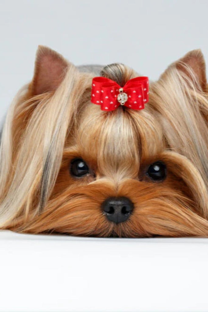 Most Popular Pet Names of the Week