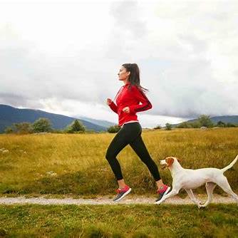 Keep Your Pet Fit, Healthy, and Happy
