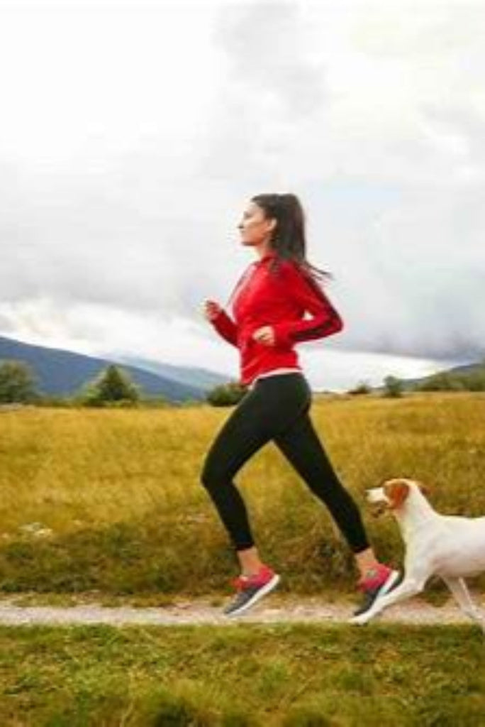 Health & Fitness: Keep Your Pet Fit, Healthy, and Happy