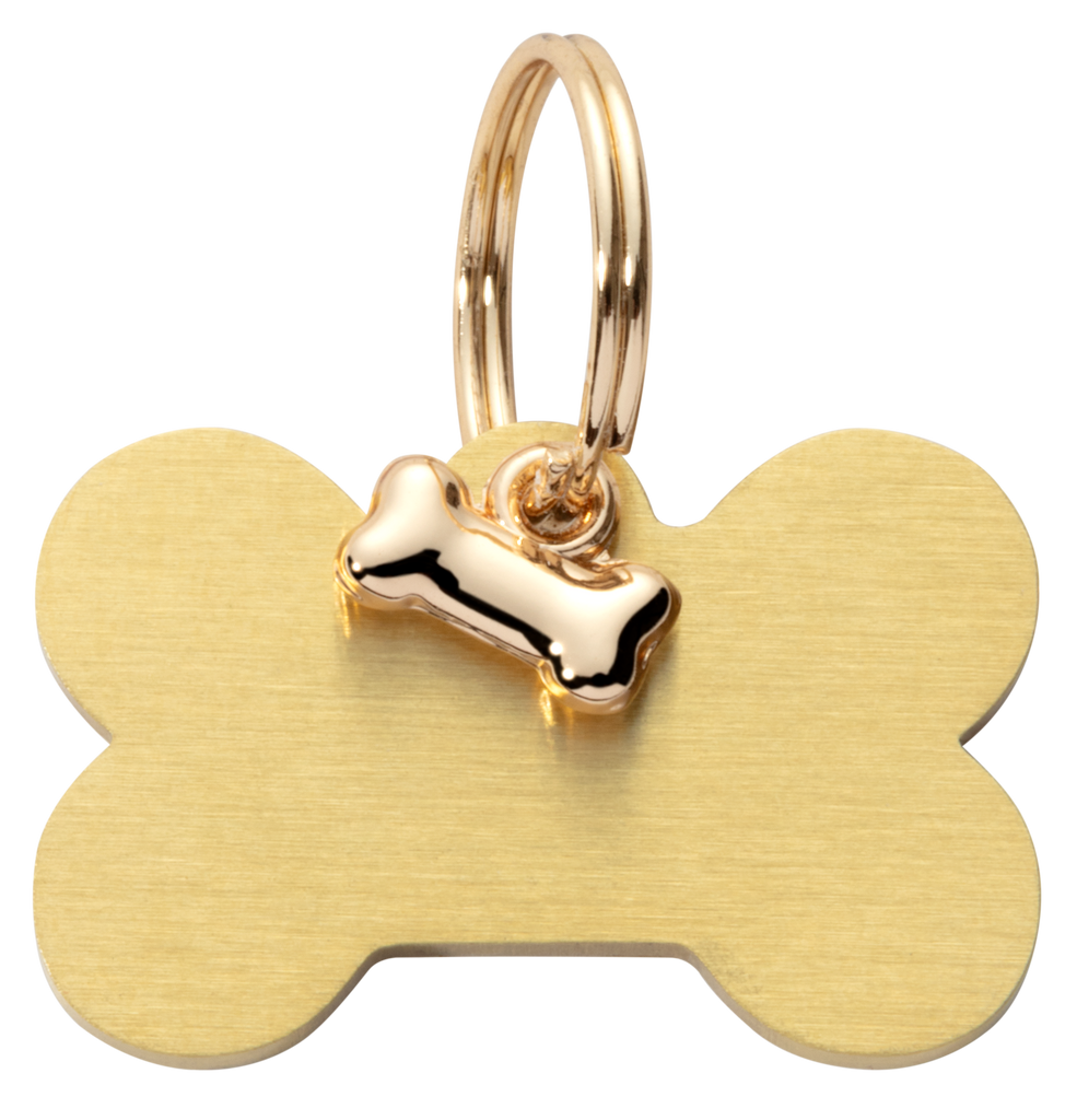 Gold bone-shaped pet tag with a smaller gold bone charm on a white background