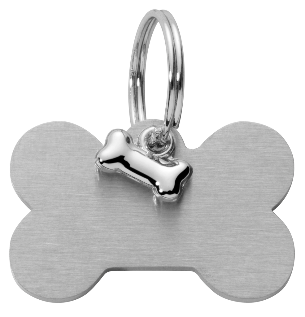 Silver bone-shaped pet tag on a white background
