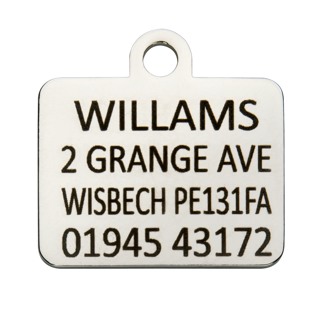 Kennel Club Orange & Pink Dog Tag - Engraved Example