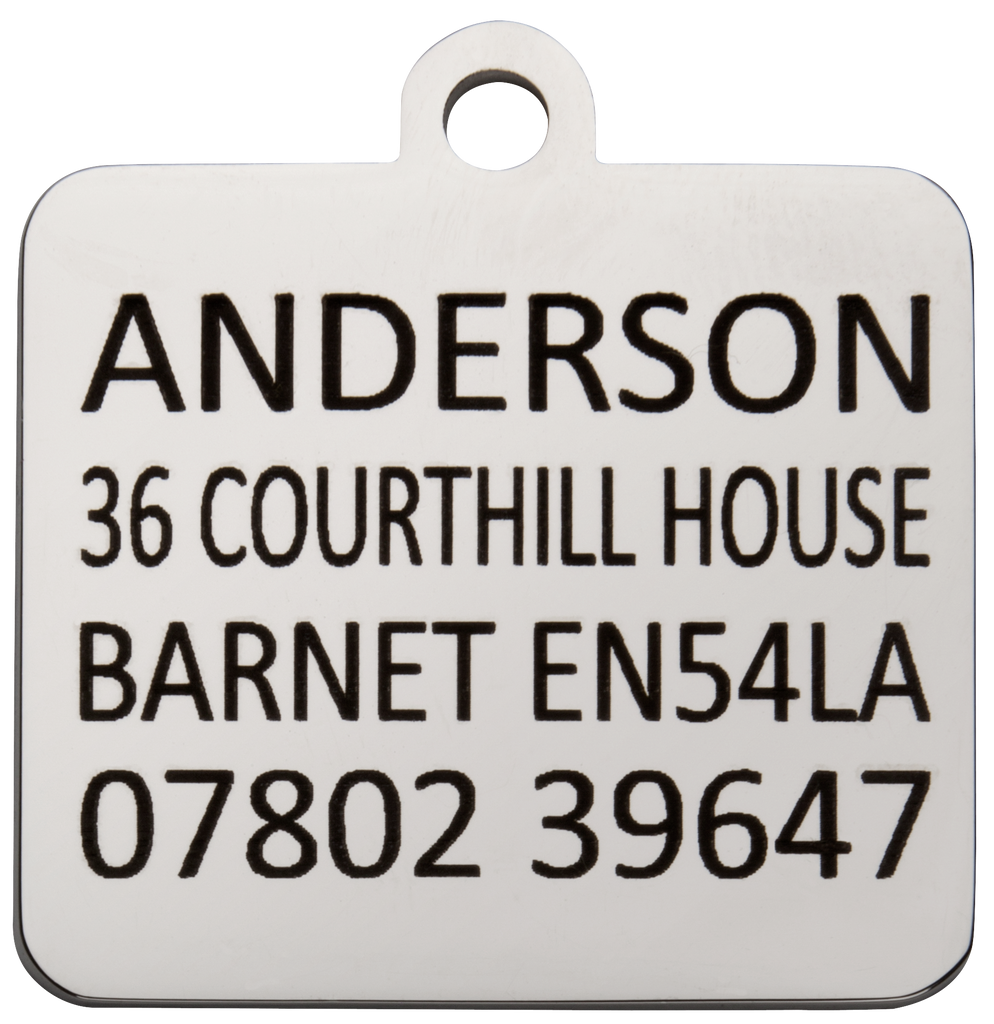 Kennel Club Blue Dog Pet Tag - Engraved Example