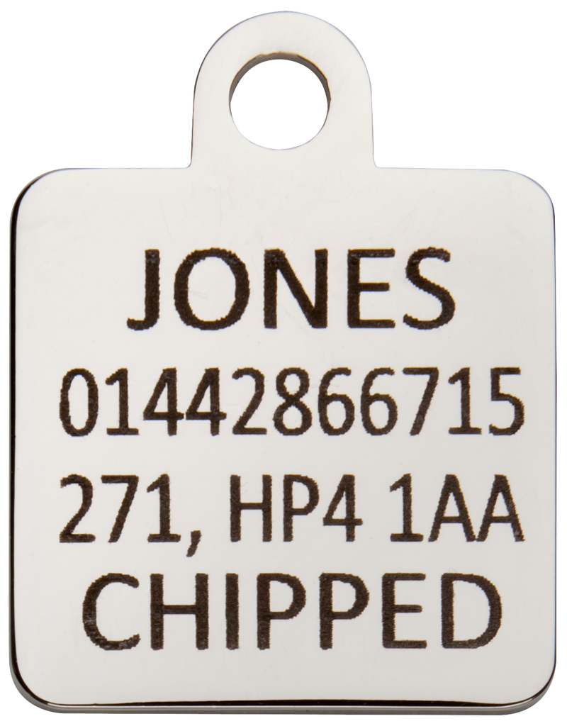 Kennel Club Red Dog Pet Tag - Engraved Example