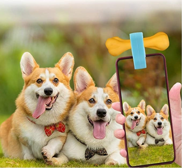 attach-treat-to-mobile-phone-for-pet-photos