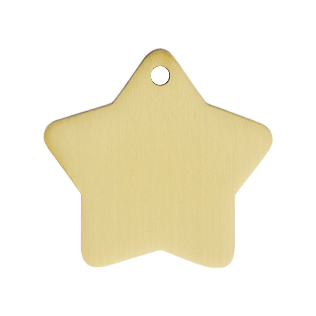 brass-star-small-or-large-id-tag