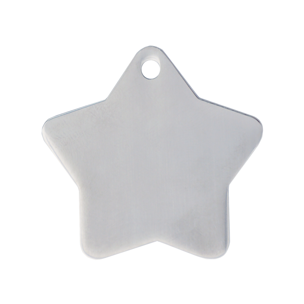 stainless-star-silver-small-or-large-id-tag